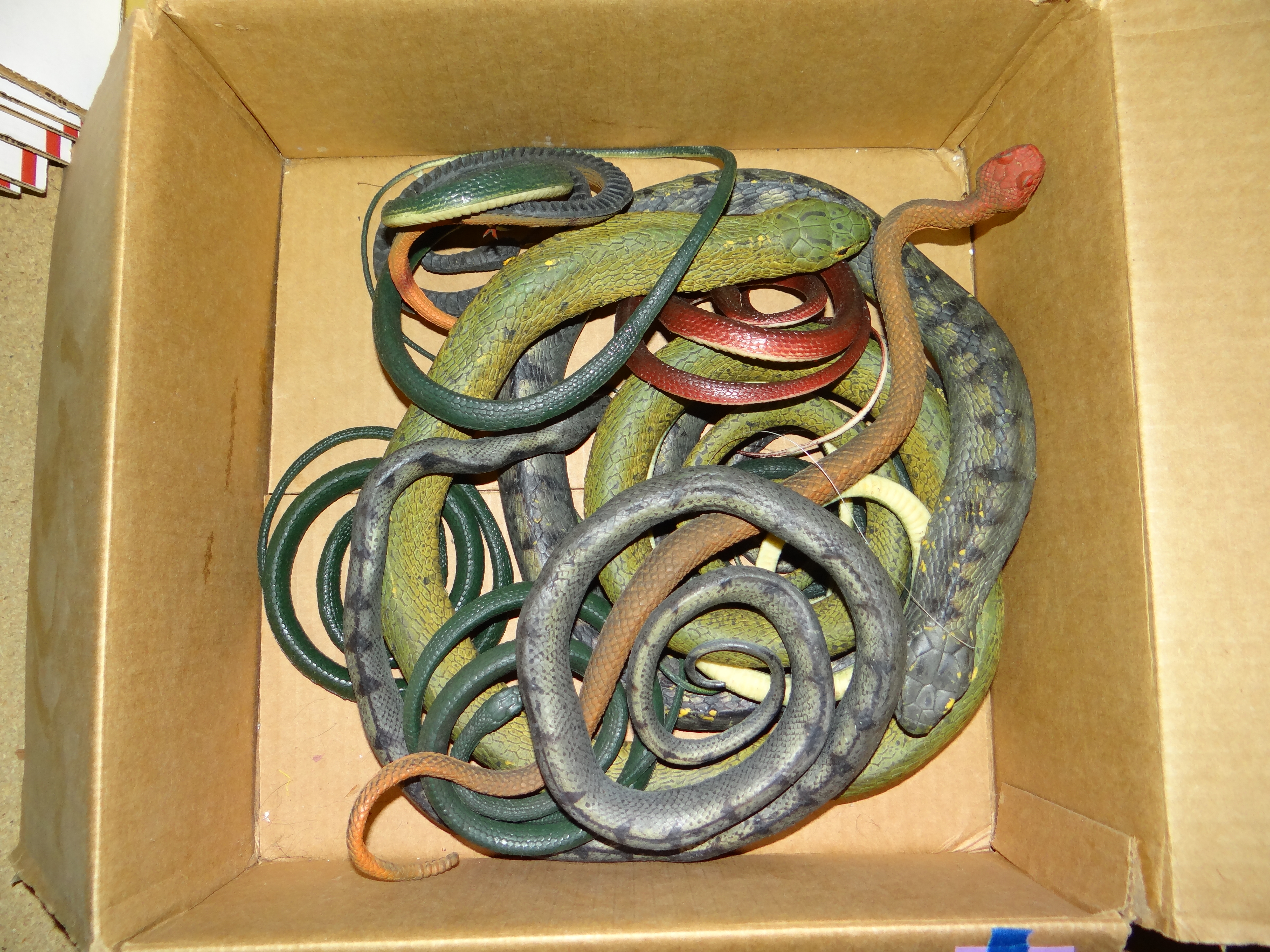 25-Box of Rubber Snakes